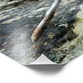 Dood hout op de foto van de Stille Oceaan Afdruk (Hoek)