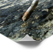 Dood hout op de Pacific poster (Hoek)