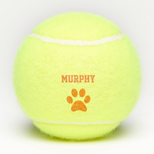 "Dood Let's Play Fetch" Pet Dog Cat Speelgoed Name Tennisballen (Achterkant)