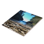 Dood Man klep, Cape-teleurstelling, WA Tegeltje (Zijkant)