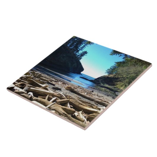 Dood Man klep, Cape-teleurstelling, WA Tegeltje (Zijkant)