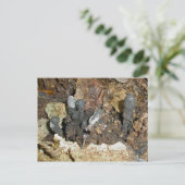 Dood Man Vingerpaddenstoel Briefkaart (Staand voorkant)