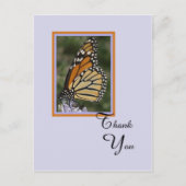 Dood of sympathie Dank u Briefkaart — Vlinder (Voorkant)