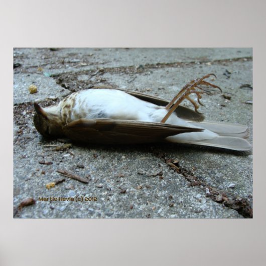 Dood Poster (Voorkant)