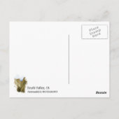 Dood Valley Briefkaart! Briefkaart (Achterkant)