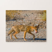 Dood Valley Desert Fox. Legpuzzel (Horizontaal)