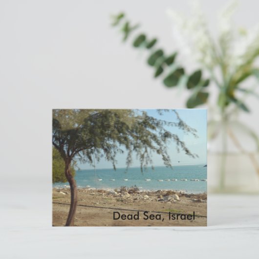 Dood Zee, Israël Briefkaart (Staand voorkant)