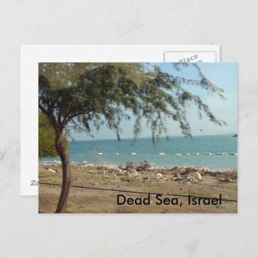 Dood Zee, Israël Briefkaart (Voorkant / Achterkant)