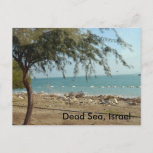Dood Zee, Israël Briefkaart