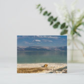 Dood Zee, Israëlisch vakantieBriefkaart Feestdagenkaart (Staand voorkant)