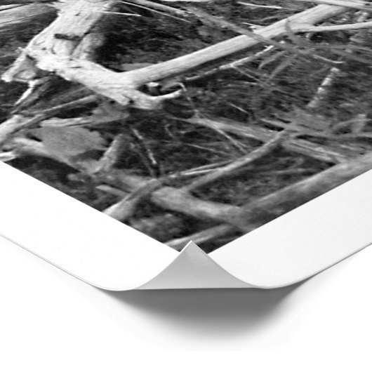 Doodboom, zwart en wit afdrukken poster (Hoek)