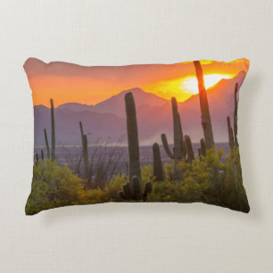 Doodcactus sunset, Arizona Accent Kussen