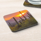 Doodcactus sunset, Arizona Bier Onderzetter (Linkerzijde)