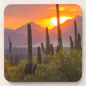 Doodcactus sunset, Arizona Bier Onderzetter (Voorkant)