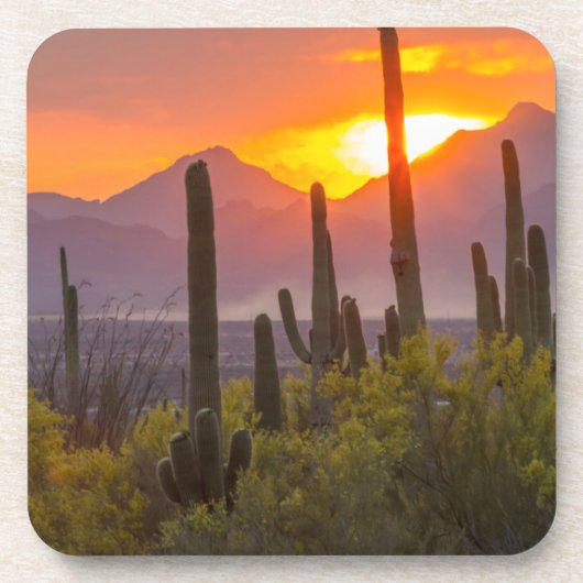 Doodcactus sunset, Arizona Bier Onderzetter (Voorkant)