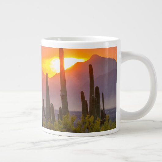 Doodcactus sunset, Arizona Grote Koffiekop (Rechts)