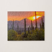 Doodcactus sunset, Arizona Legpuzzel (Horizontaal)