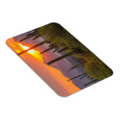 Doodcactus sunset, Arizona Magneet (Rechterzijde)