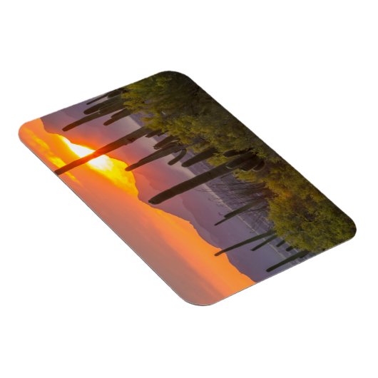 Doodcactus sunset, Arizona Magneet (Rechterzijde)