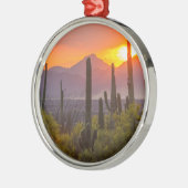 Doodcactus sunset, Arizona Metalen Ornament (Links)