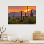 Doodcactus sunset, Arizona Poster (Keuken)