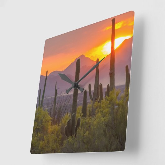 Doodcactus sunset, Arizona Vierkante Klok (Hoek)