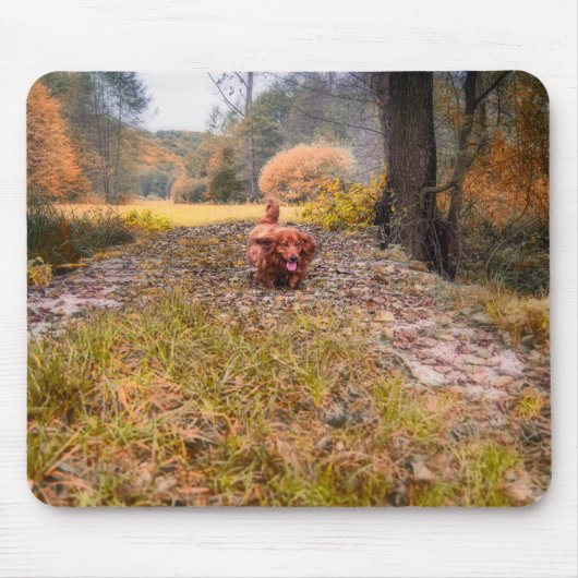 Doodhaaienhond in het bos muismat (Voorkant)