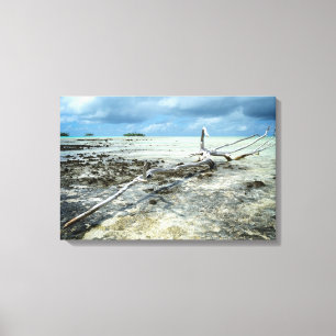 Doodhout in de Stille Oceaan Canvas Afdruk