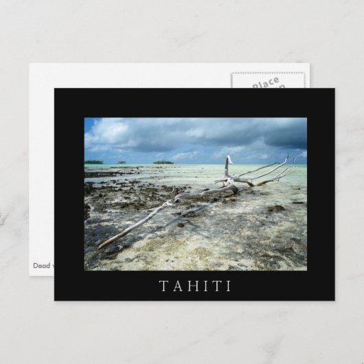 Doodhout in het briefkaart zwarte Pacifische tekst (Voorkant / Achterkant)