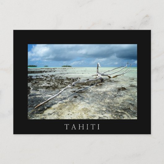 Doodhout in het briefkaart zwarte Pacifische tekst (Voorkant)