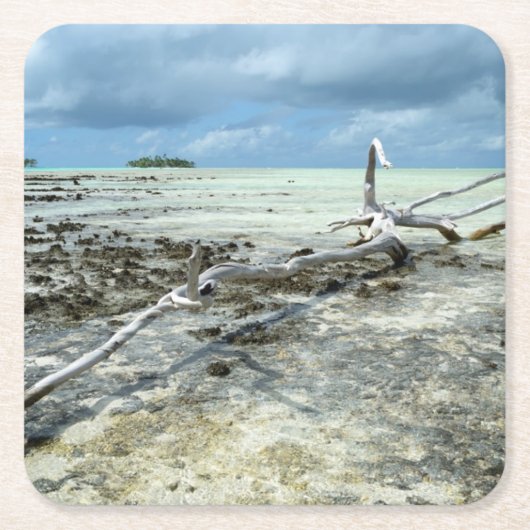 Doodhout in het onderzetter van de Stille Oceaan (Voorkant)