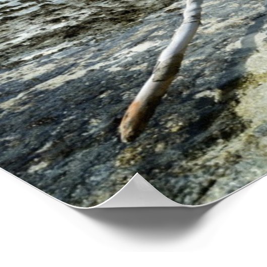 Doodhout in het poster van de Stille Oceaan (Hoek)