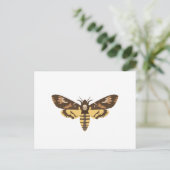 Doodkopmoth Briefkaart (Staand voorkant)