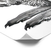 Doodle art Kangaroo Poster (Hoek)