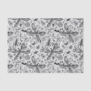 Doodle-bugs in donkerblauw tissuepapier