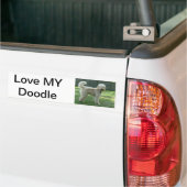 Doodle Bumpersticker (Op Truck)