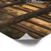 "Doodle Do", Bantam Rooster Poster (Hoek)