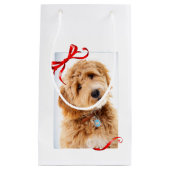 Doodle Dog Klein Cadeauzakje (Voorkant)