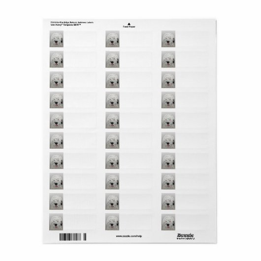 Doodle Dog Return Address Label (Full Sheet)