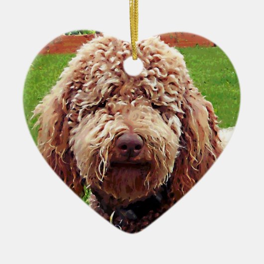 Doodle Painting Heart Ornament (Voorkant)