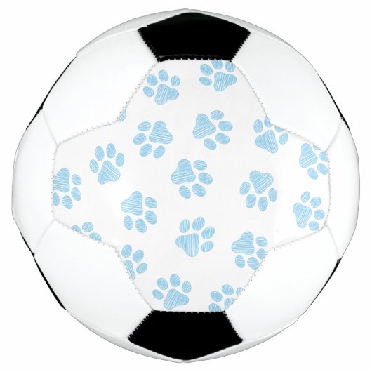 Doodle Paws, Hondenpoten, Baby Blue Paws Voetbal (Voorkant)