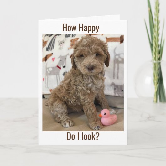 DOODLE PUP WIST U EEN **EEN LAATSTE VERHAAL BIEDDA KAART (Voorkant)