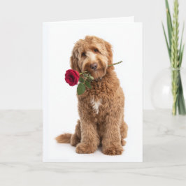 Doodle Valentijn – Zoete Krullen, Ware Liefde Kaart