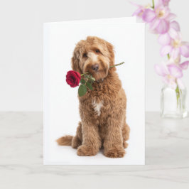 Doodle Valentijn – Zoete Krullen, Ware Liefde Kaart