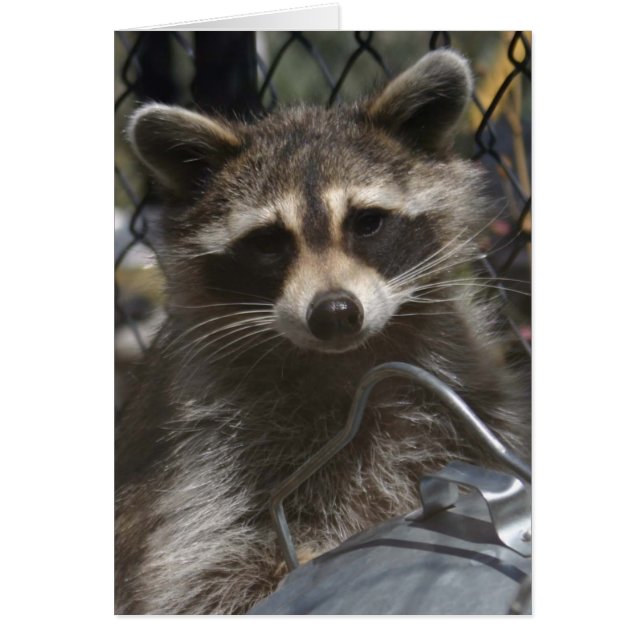 doodles 759 (Voorkant)