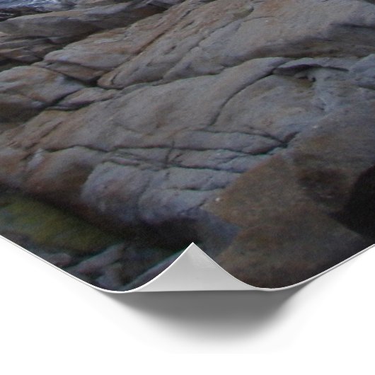 doodsboomstam poster (Hoek)