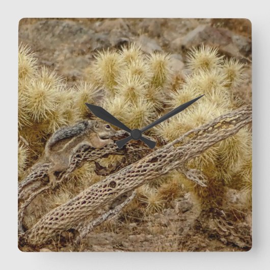 Doodse eekhoorn op de rode cilinder vierkante klok (Voorkant)