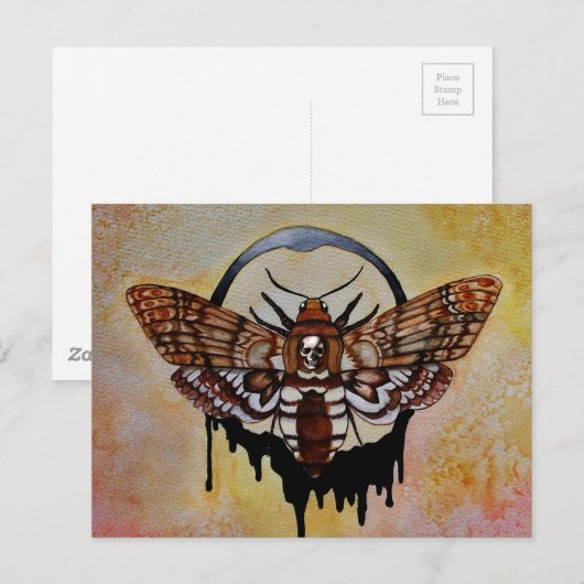 Doodse Hawk Moth Briefkaart (Voorkant / Achterkant)