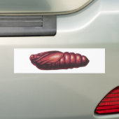 Doodse Hawk Moth Bumpersticker (Op auto)