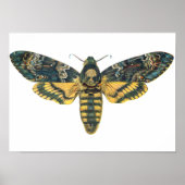 Doodse Hawk Moth, Large Moth, Moth Print (Voorkant)